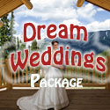 weddings in gatlinburg and pigeon forge best cabin rentals